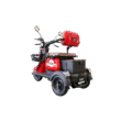 Electric scooter RDB MINI
