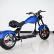 Electric scooter U1PRO